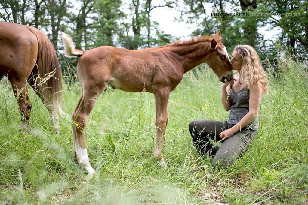 DES ANIMAUX ET DES HOMMES