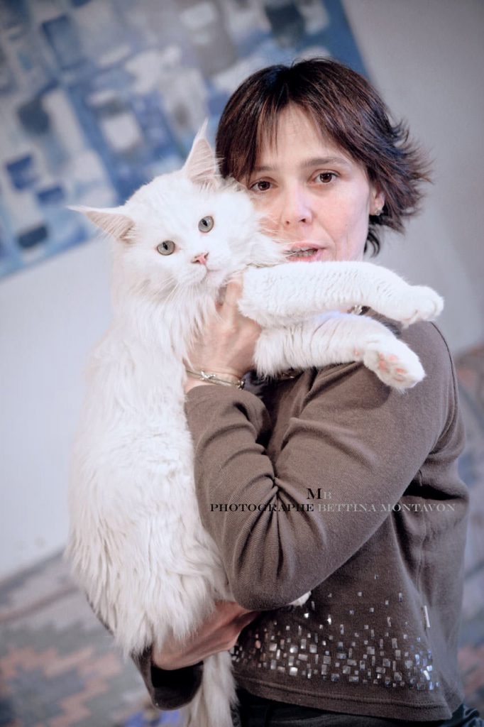 DES ANIMAUX ET DES HOMMES