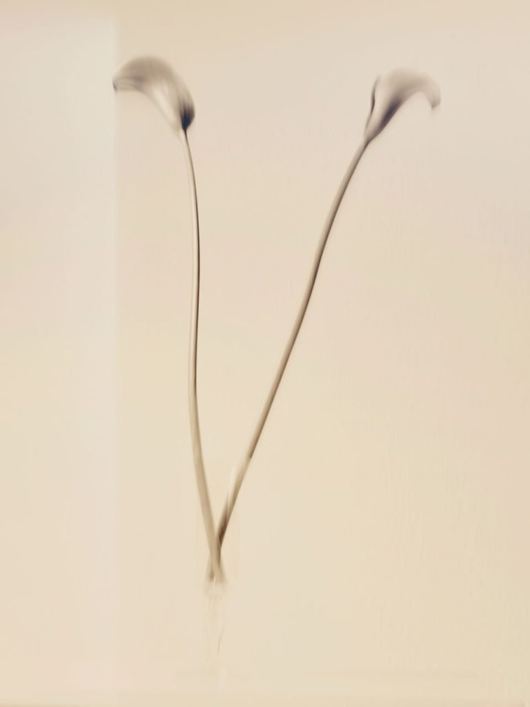 NATURE SILENCIEUSE